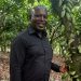 Central Regional COCOBOD Office Elevated to Directorship to Boost Cocoa Production-Agyakwa