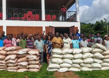 Farmers in Afadzato South receive fertilisers from DCE