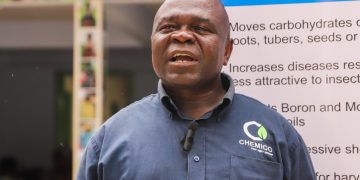 Chemico Ghana Strengthens Support For Women Farmers At 8th Wofagric And Gold In The Soil Awards
