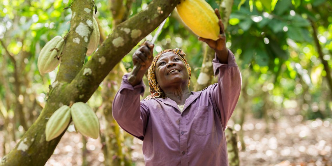Fairtrade Africa to Convene Industry for Change Day 2026