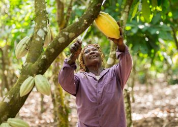 Fairtrade Africa to Convene Industry for Change Day 2026