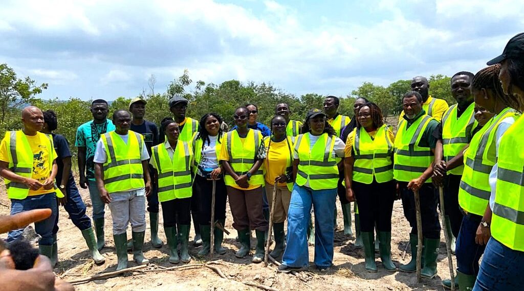 MTN Ghana plants over 1,660 trees to restore degraded Shai Hills forest reserve