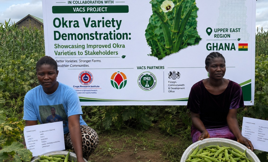 CSIR-CRI Strengthens Capacity of Okra Seed Producers Through Intensive Training Programme Organised By Vacs-Breeding: Okra