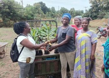 Iseguri Initiative empowers women farmers