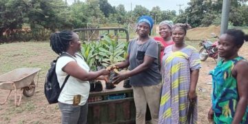 Iseguri Initiative empowers women farmers