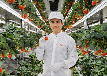 Oishii Opens Open Innovation Center in Tokyo to Advance Vertical Farming
