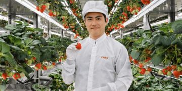 Oishii Opens Open Innovation Center in Tokyo to Advance Vertical Farming