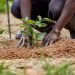 Women with disabilities nurture trees to combat deforestation in Ahafo Women with disabilities nurture trees to combat deforestation in Ahafo