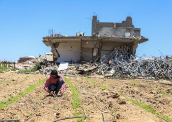 Food security and child nutrition crises persist in Gaza despite fragile gains due to increased humanitarian assistance and commercial traffic