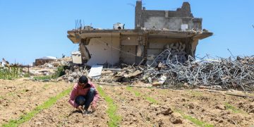 Food security and child nutrition crises persist in Gaza despite fragile gains due to increased humanitarian assistance and commercial traffic