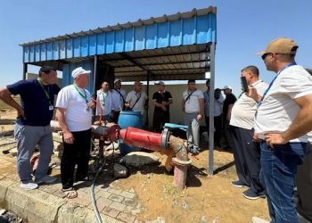 Uzbek Growers Study Egyptian Fruit and Vegetable Export Model