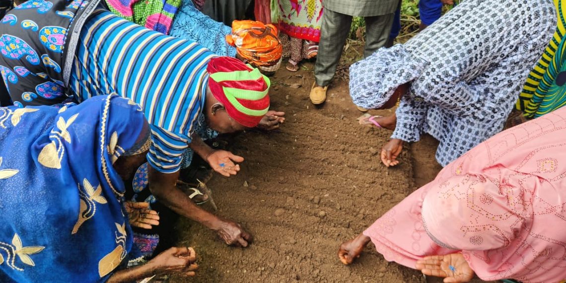 Boost to Bloom Project: Over 150 Participants Receive Vegetable Production Skill Enhancement Training at Gbullung Bihinaayili