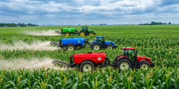 Fertilizer Prices Split Further as Phosphate and Sulfur Eased in August Ending
