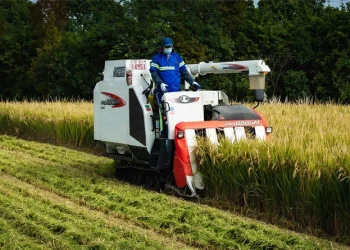 China Adopts New Farmland Protection Law to Safeguard 1.8 Billion Mu of Cultivated Land