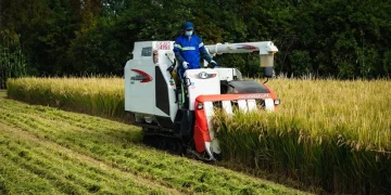 China Adopts New Farmland Protection Law to Safeguard 1.8 Billion Mu of Cultivated Land