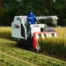 China Adopts New Farmland Protection Law to Safeguard 1.8 Billion Mu of Cultivated Land