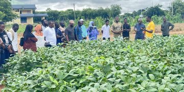 Agricultural Extension Agents undergo training to drive soybean innovation  