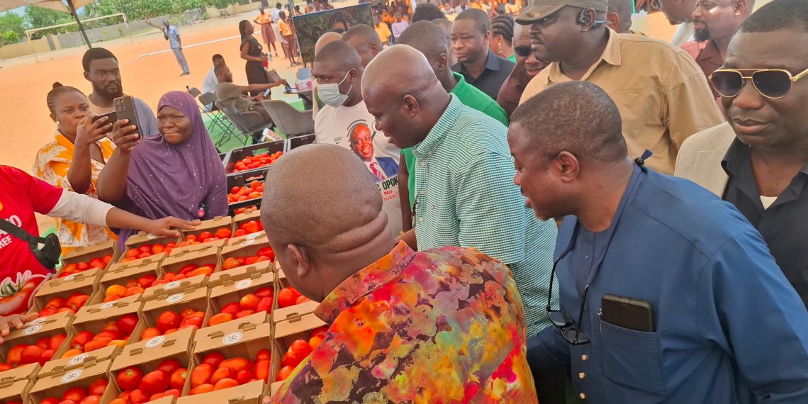 Ghana targets 100,000 tonnes of tomatoes under self-sufficiency initiative