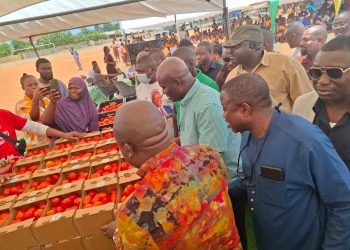 Ghana targets 100,000 tonnes of tomatoes under self-sufficiency initiative