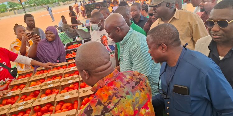 Ghana targets 100,000 tonnes of tomatoes under self-sufficiency initiative