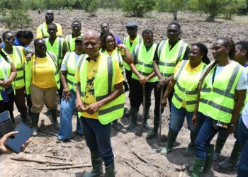 MTN Ghana, partners Forestry Commission to plant 1,666 trees Aiming to restore Chipa Forest Reserve