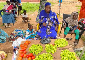 Bloomers Weekly Farmers Market: Strengthening Traders’ Knowledge on Safe Vegetable Handling for Consumption