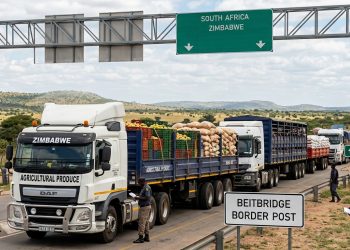 Zimbabwe accounts for 8% of South Africa’s agricultural exports