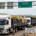 Zimbabwe accounts for 8% of South Africa’s agricultural exports