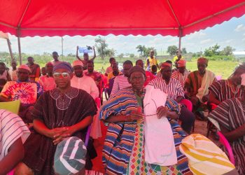 Kudula Chief Commends Boost to Bloom’s Impact on Vegetable Farmers, Urges Annual Training Continuity