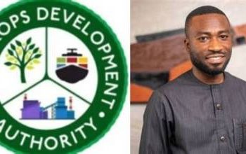 TCDA tightens cashew controls as Ghana pushes local processing
