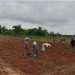 Ghana must track impact of climate adaptation on farmers – AGN Chair Ghana must track impact of climate adaptation on farmers – AGN Chair