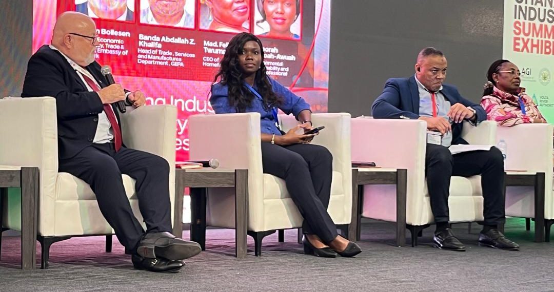 Denmark, Ghana must deepen green industrial partnership  