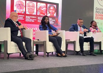 Denmark, Ghana must deepen green industrial partnership  