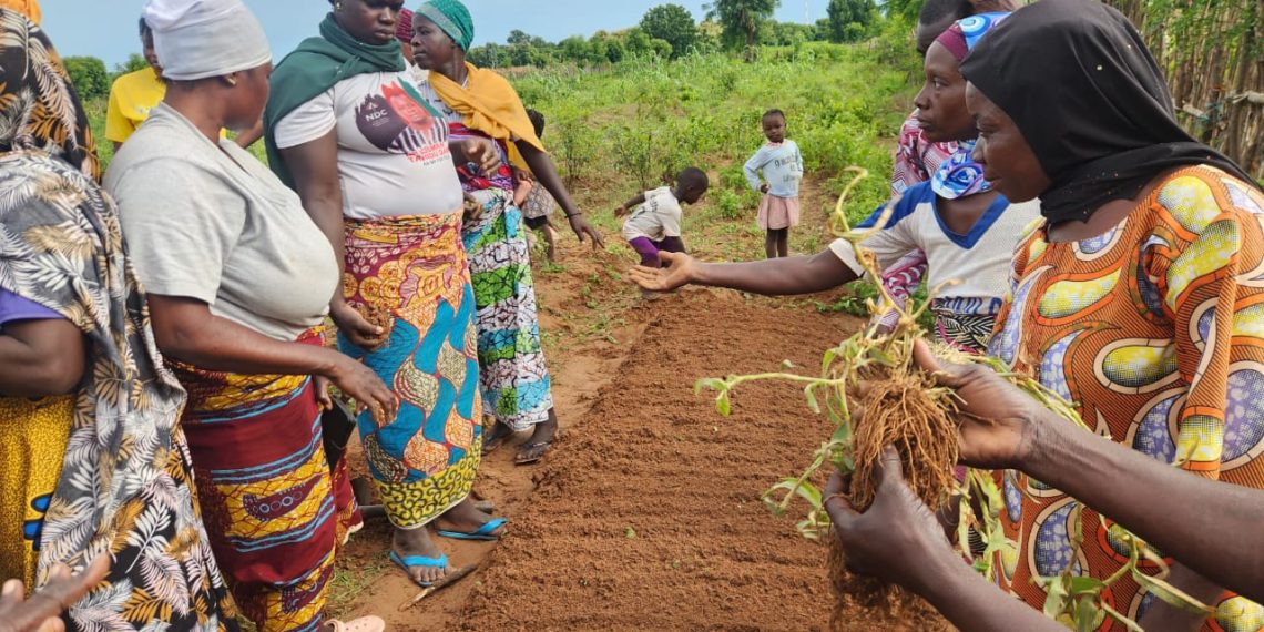 Boost to Bloom Team Equips Farmers and Youth with Practical Vegetable Production Skills in Sabegu