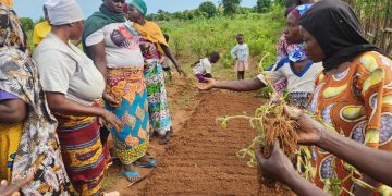 Boost to Bloom Team Equips Farmers and Youth with Practical Vegetable Production Skills in Sabegu