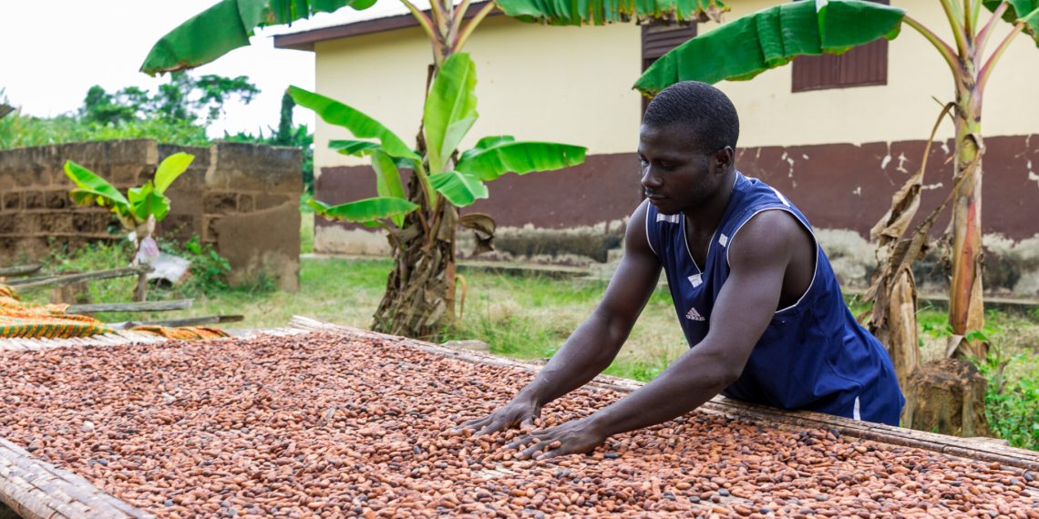 COCOBOD Settles Gh¢2.3 Billion, Completes 2026 DDEP Bond Obligations