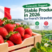 Forecasts Suggest Stable production in 2026 for French strawberries