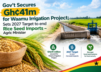 Gov’t Secures Gh¢41m for Waamu Irrigation Project; Sets 2027 Target to end Rice Seed Imports – Agric Minister