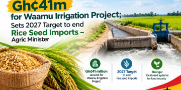 Gov’t Secures Gh¢41m for Waamu Irrigation Project; Sets 2027 Target to end Rice Seed Imports – Agric Minister