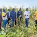 CSIR-SARI to propose Ghana’s first improved sesame varieties for release in 2027 