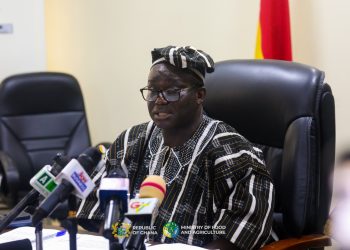 Ghana Targets rice self-sufficiency by 2028 under US.8M REWARD Project