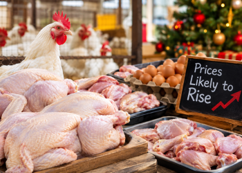 Poultry Products to Witness 15% Rise in Prices Ahead of Christmas – Farmers Warn