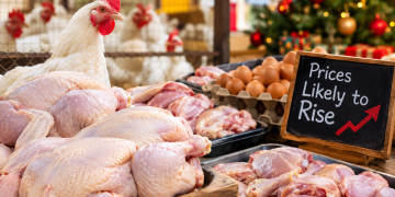 Poultry Products to Witness 15% Rise in Prices Ahead of Christmas – Farmers Warn