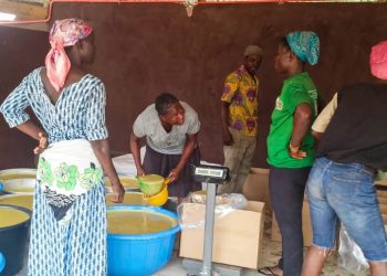 Savanna Agri Chains Selected By Pan-African Accelerator For Enterprises Which Protect And Restore Nature