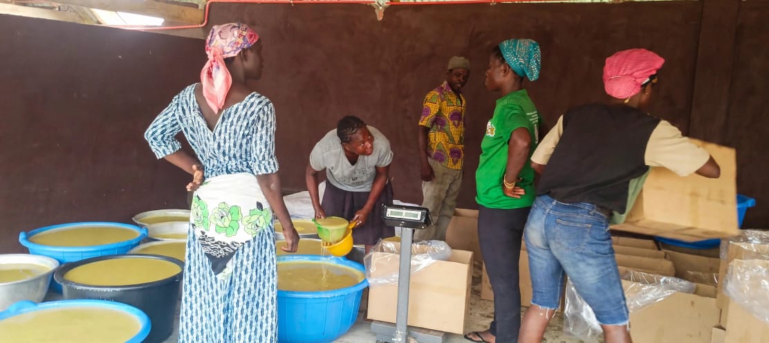 Savanna Agri Chains Selected By Pan-African Accelerator For Enterprises Which Protect And Restore Nature Savanna Agri Chains Selected By Pan-African Accelerator For Enterprises Which Protect And Restore Nature