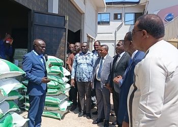 Christ Apostolic Church receives 1,500 bags of fertiliser under Feed Ghana Programme 