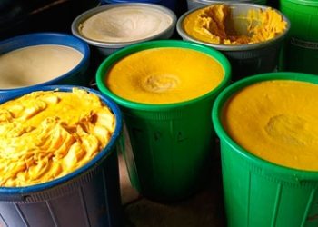 Shea Industry Players Call for Investment in Shea Testing Facilities